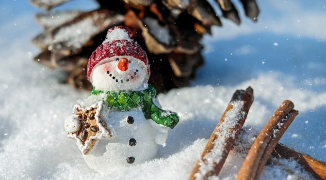 Frohe Festtage und einen guten Start ins Neue Jahr